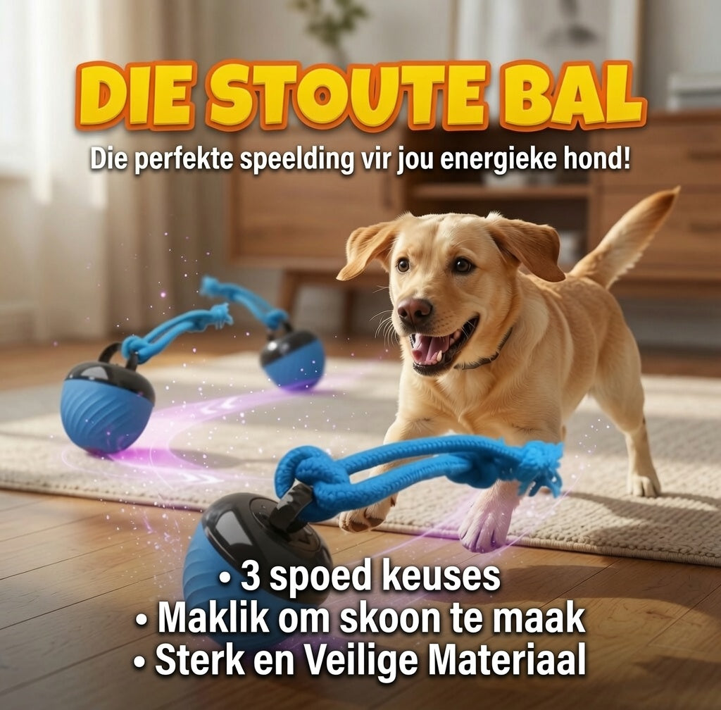 Die Stoute Bal
